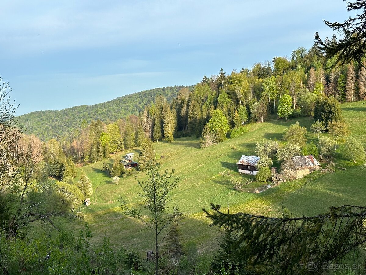 POZEMOK 25 000 m2 s potokom 300m2 zastavaná Plocha ideálny n