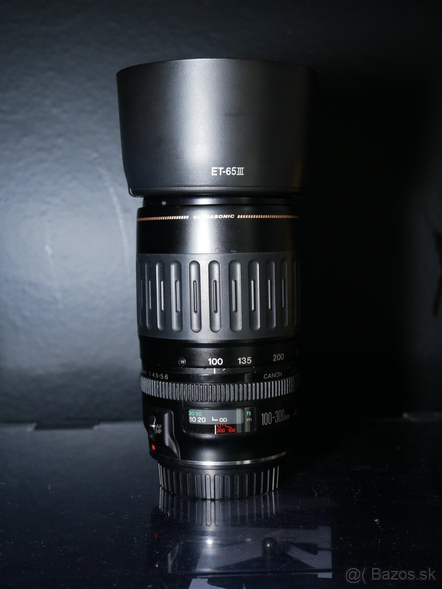 Canon EF 100-300/4.5-5.6 USM