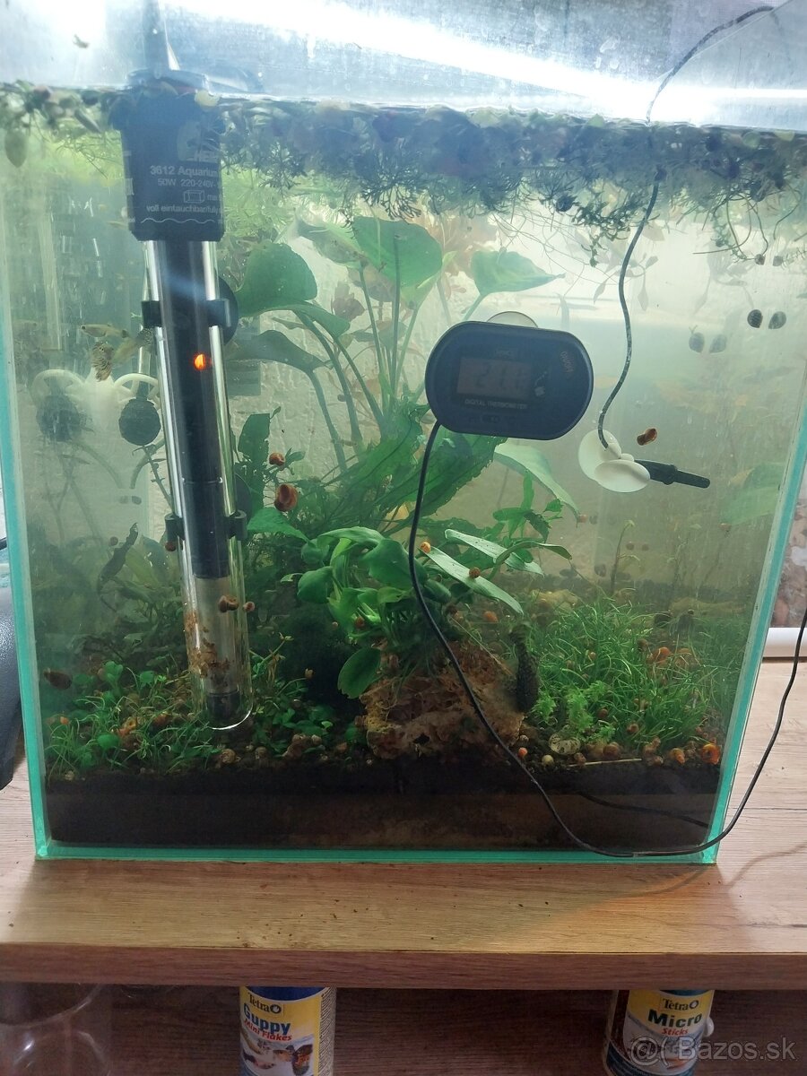 Predam akvarium aj s gupkami