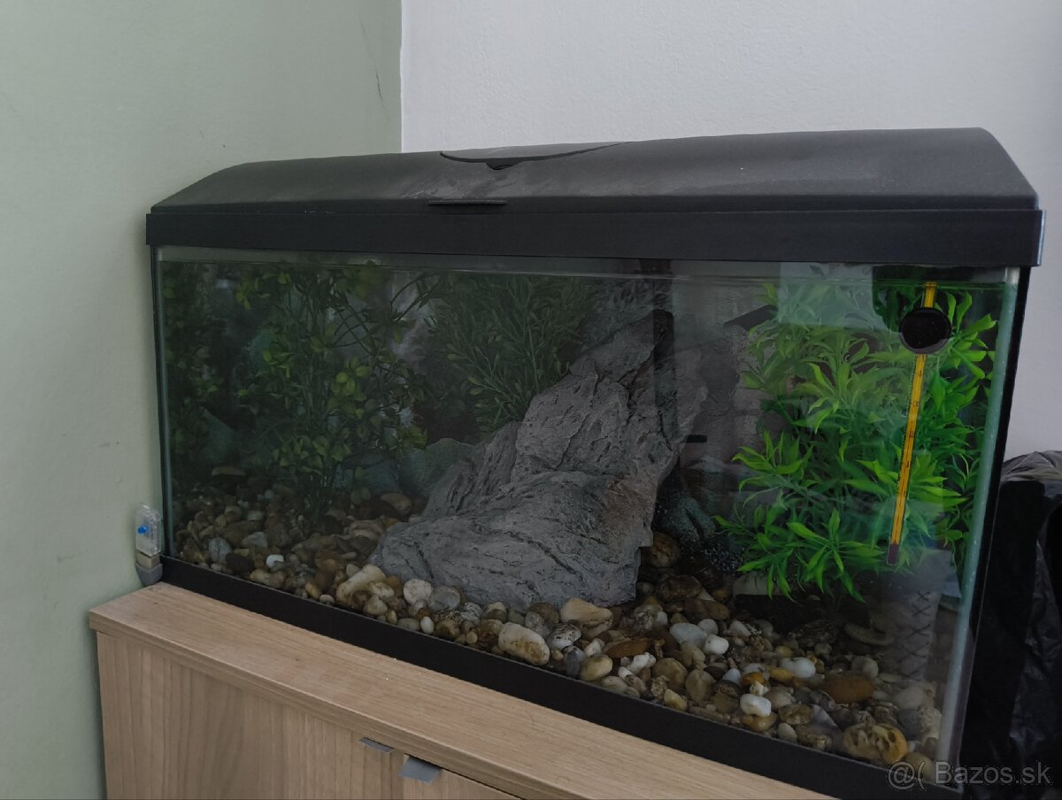 Aquarium 60l