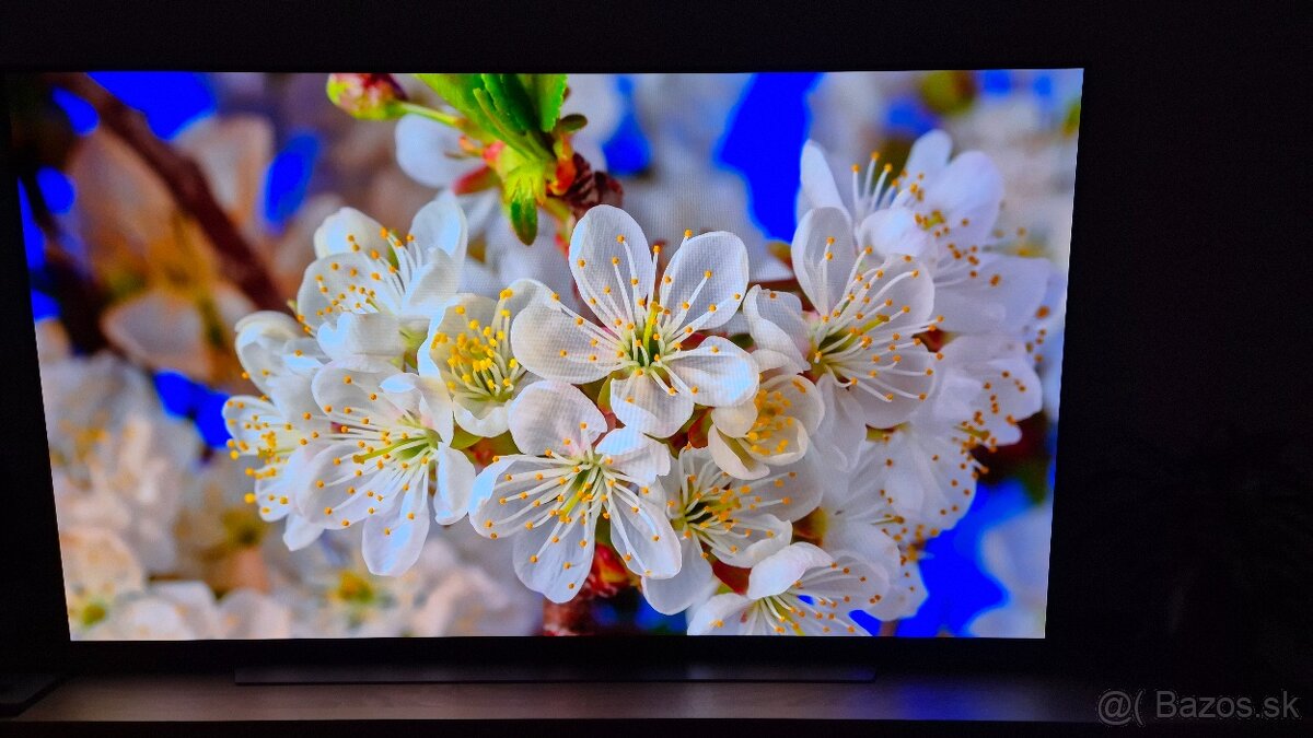 LG OLED65C1