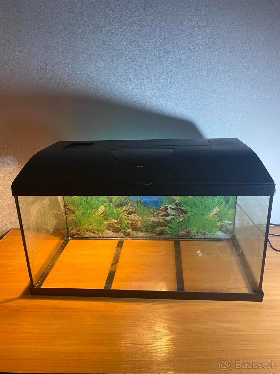 Akvarium Pacific 60x30x30