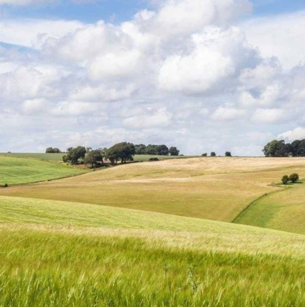 Kováčovo (obec Chľaba k.ú. Chľaba) – na predaj pozemok