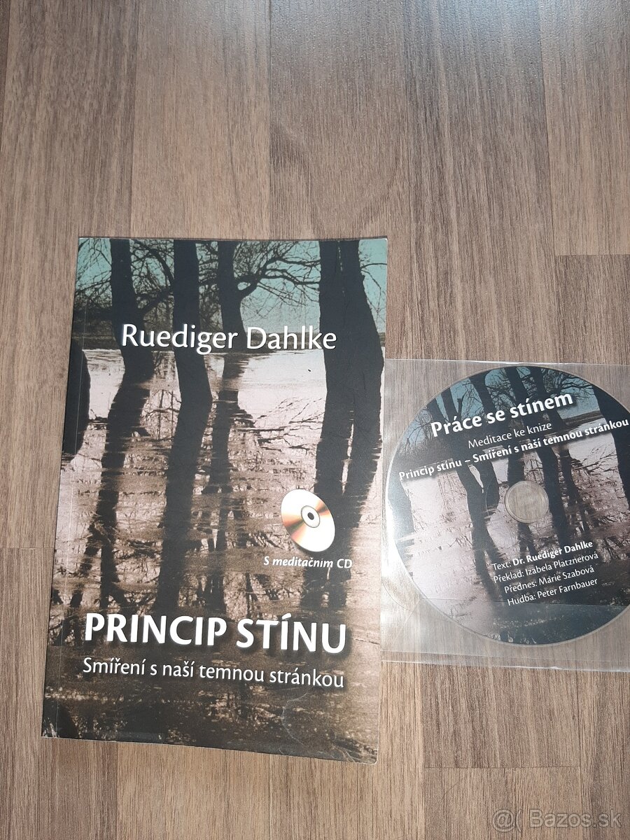 Princip stinu-Ruediger Dahlke