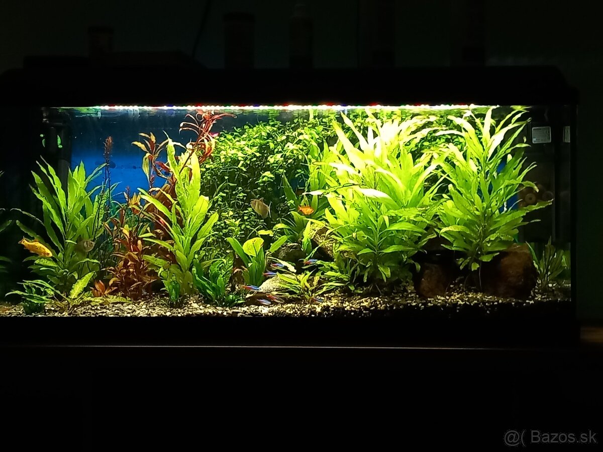 Predam.aquarium 200l