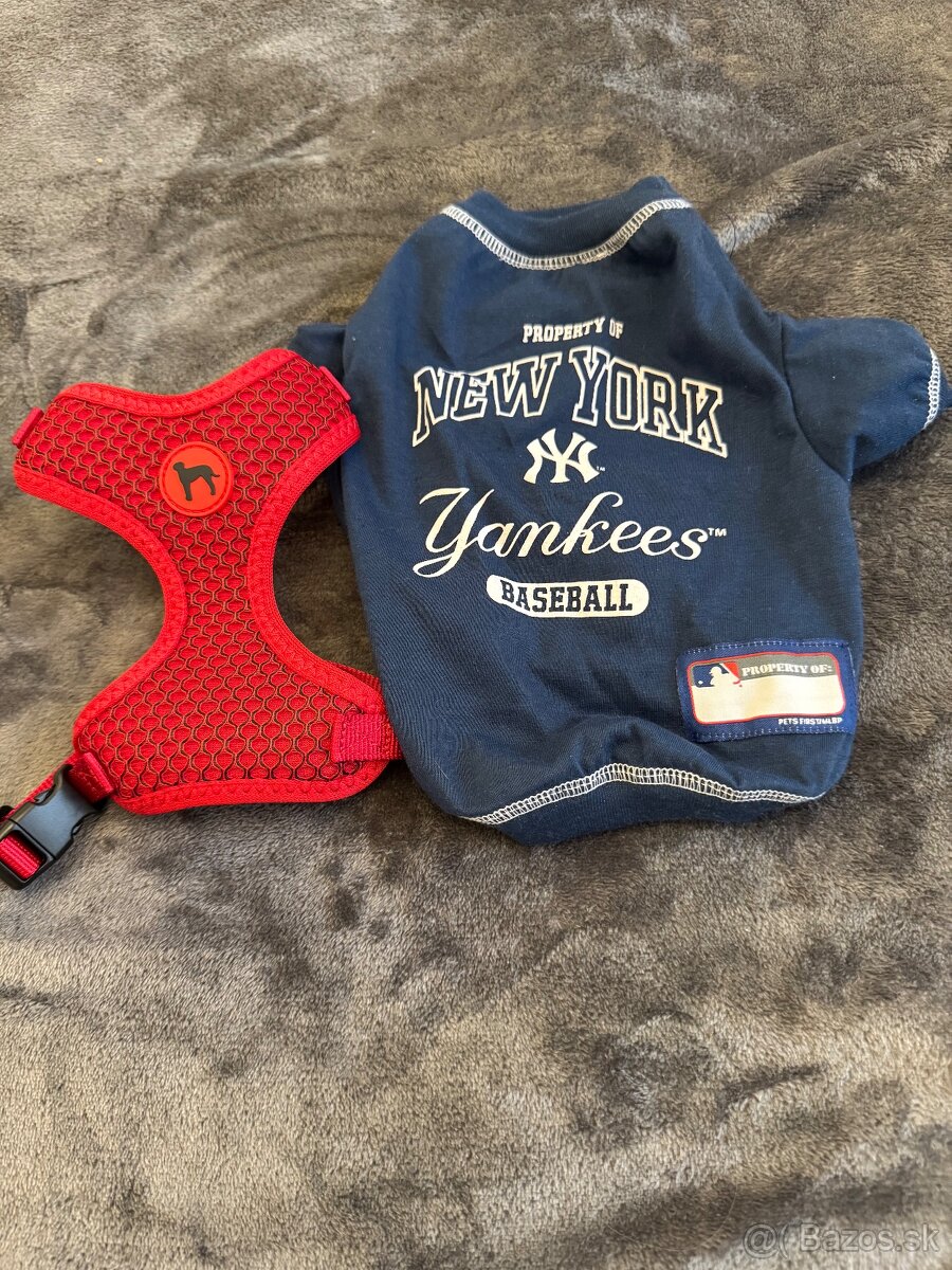 Dres NY Yankees +postroj XS a S-10€