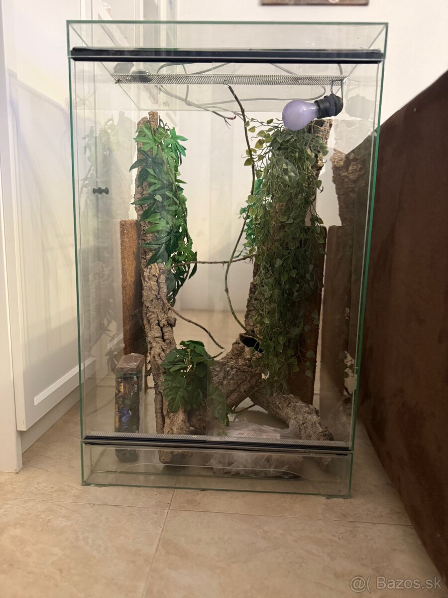 Terarium