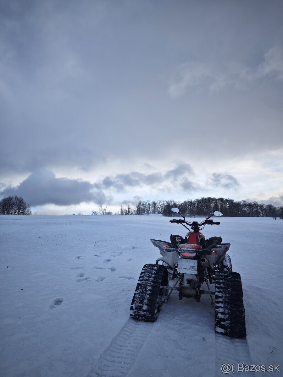 Snežné pásy yamaha raptor 660/700