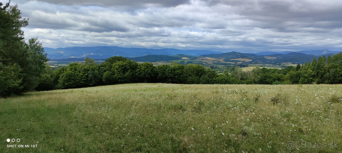 Predám pozemok horskú lúčku v k.ú. Čerín