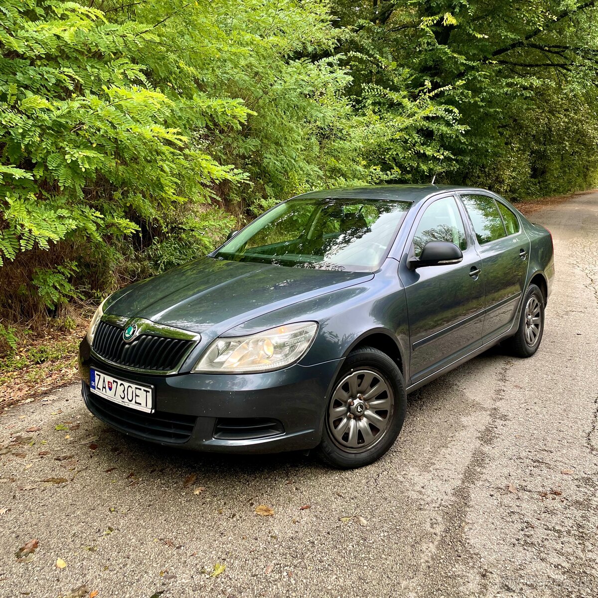 Škoda octavia 2