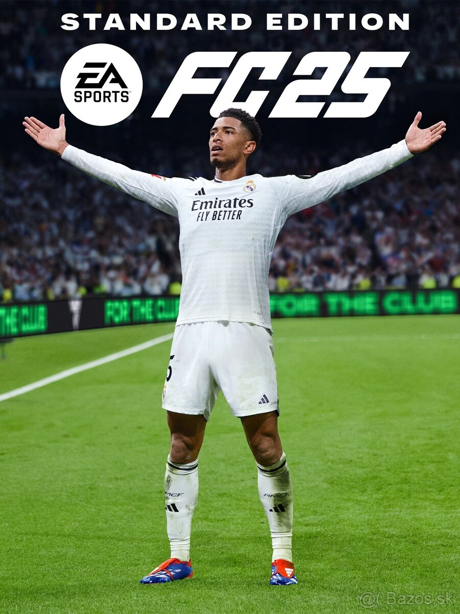 EA SPORTS FC 25 PC