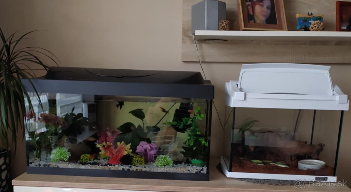 Predam 2x aquarium 70L, 30L aj komplet s prislušenstvom