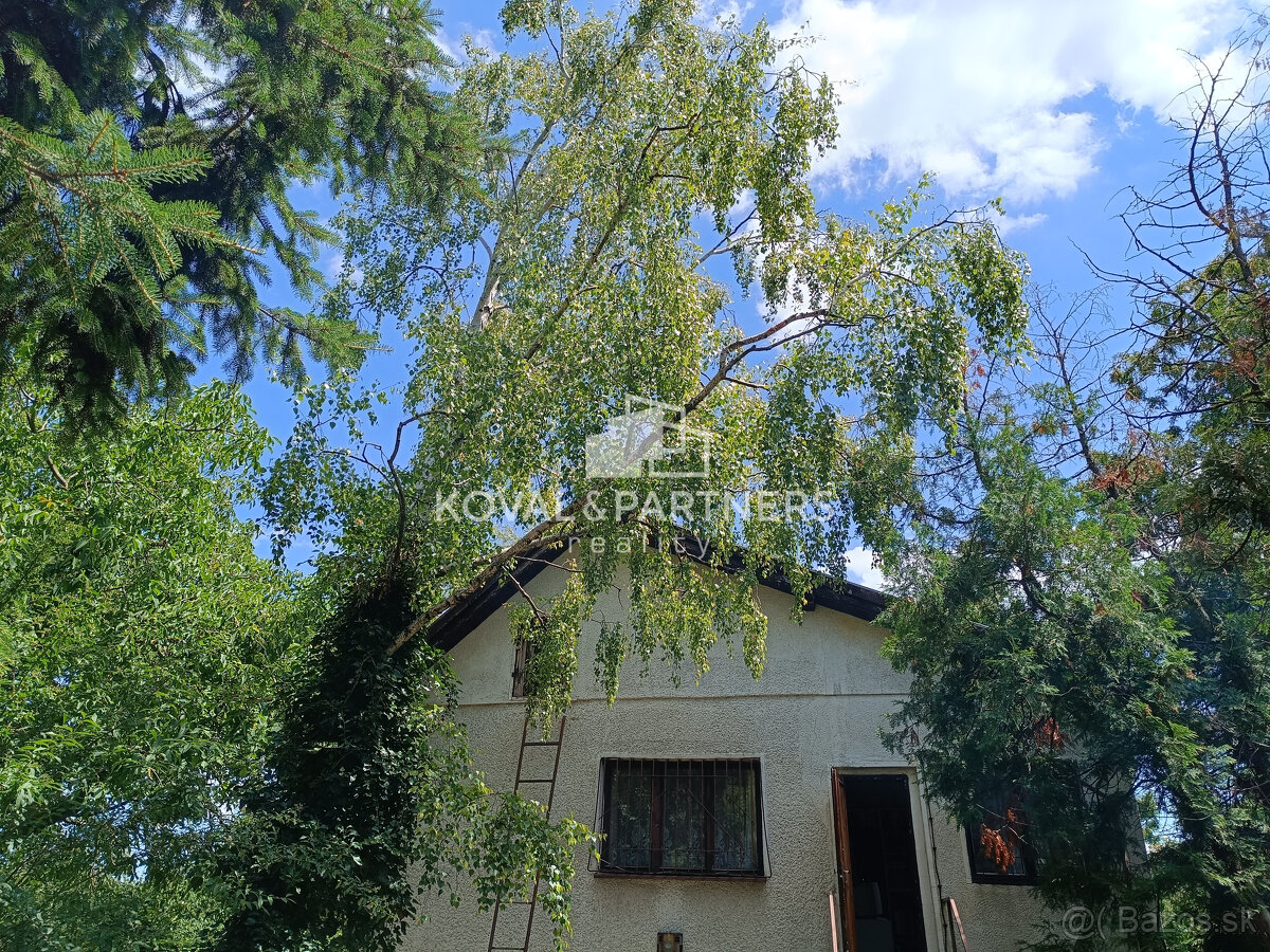 Rodinný dom s veľkým pozemkom - Veľký Kýr