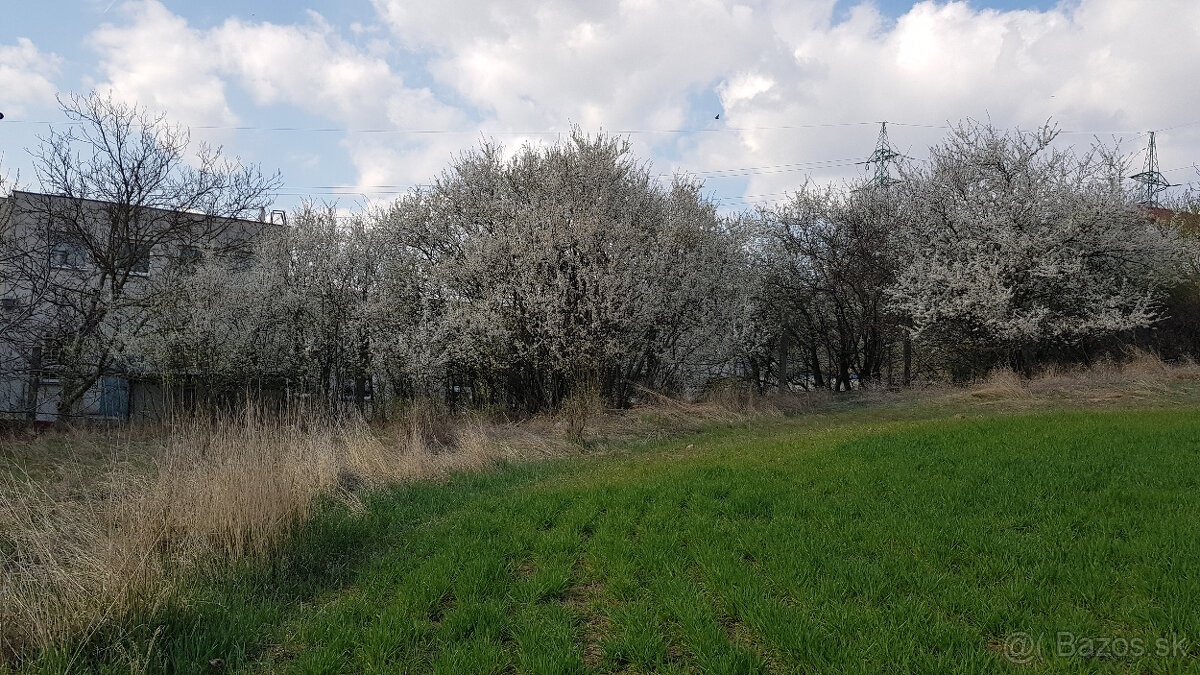 Predám pozemok v Hlohovci 1252m2.