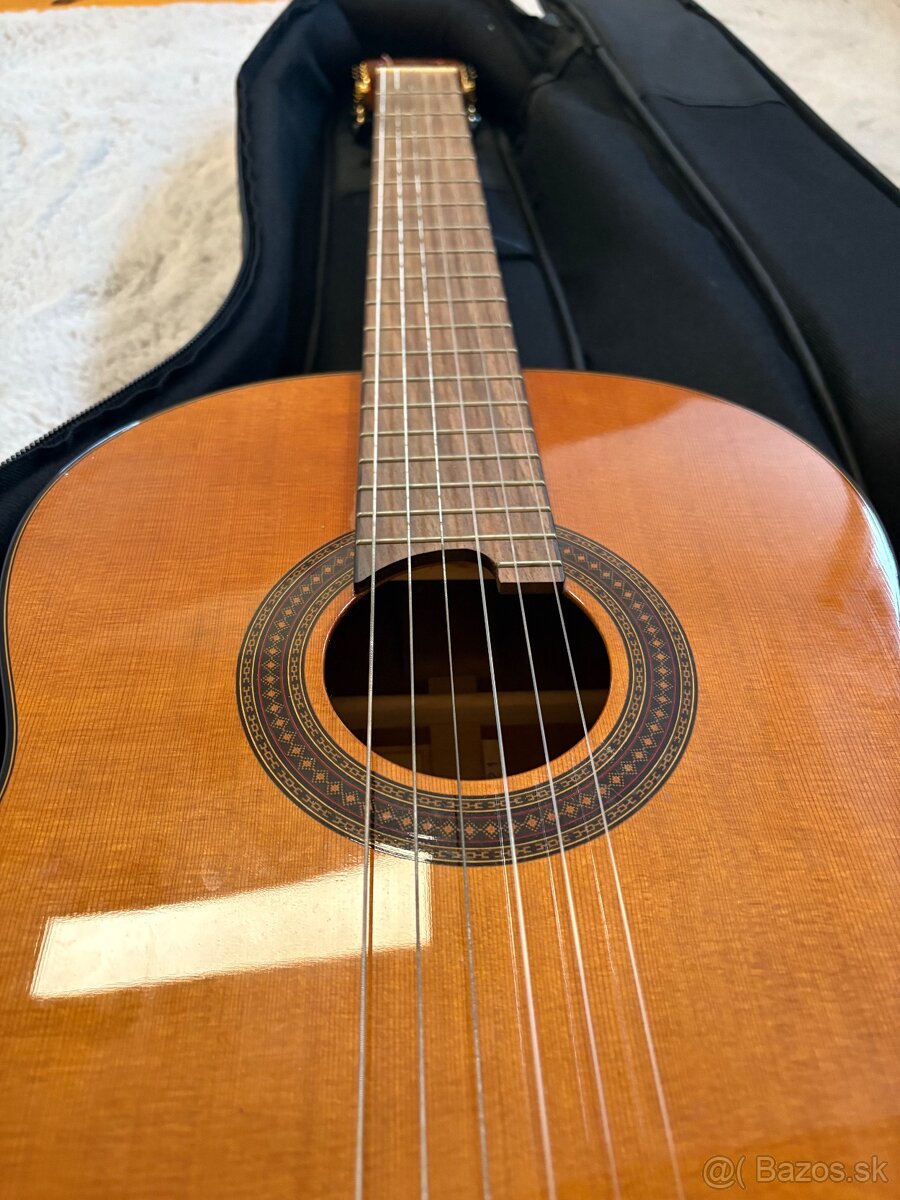 GITARA MARTINEZ MCG-40C