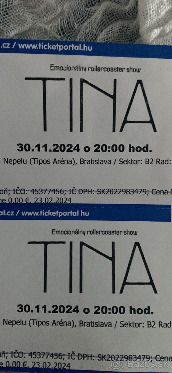 Koncert TINA