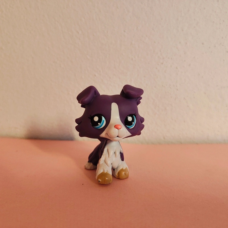 Lps littlest pet shop petshop original colie kólia #1676 167