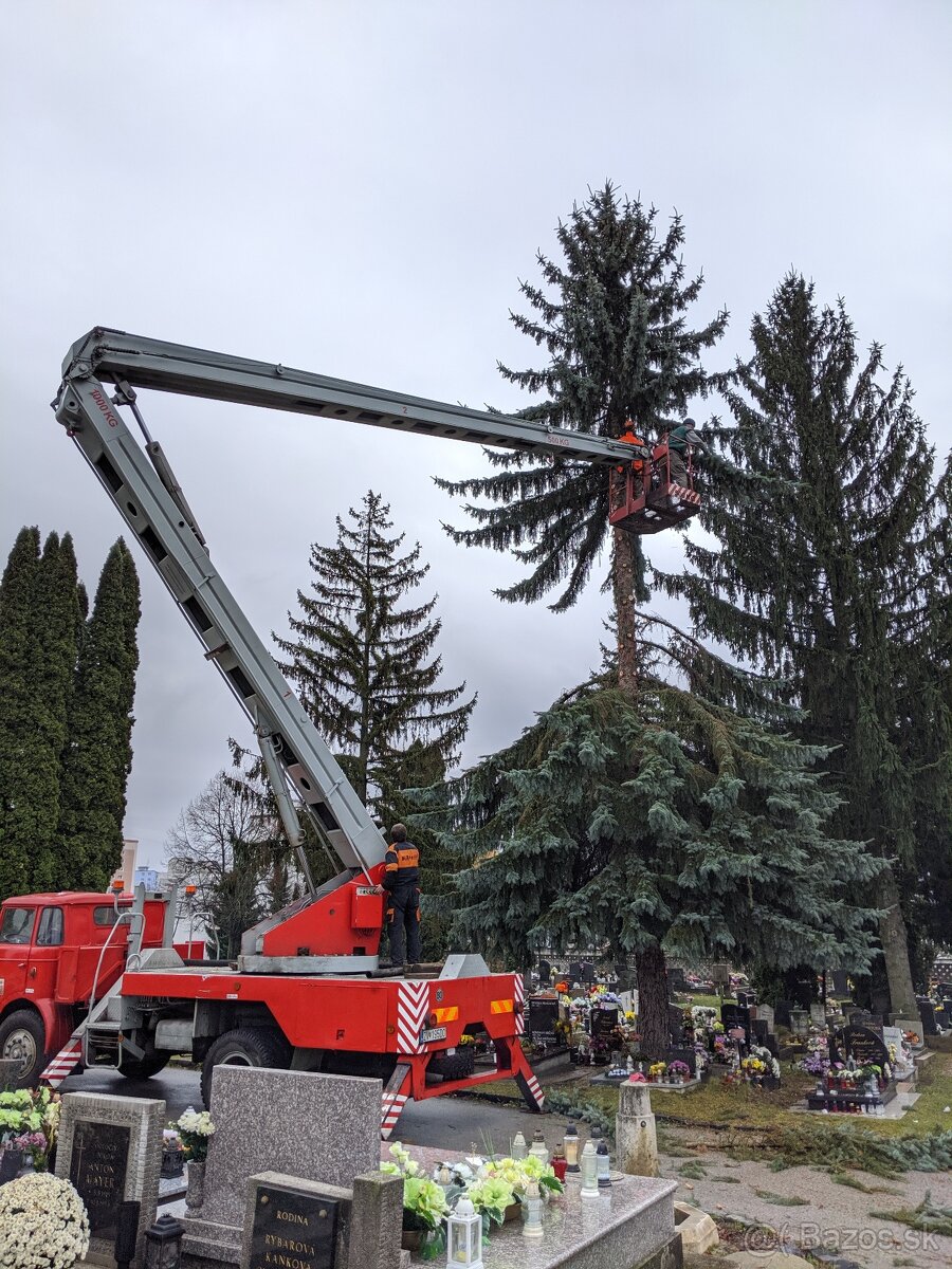 Výrub a orez stromov, rizikové pílenie, arboristika