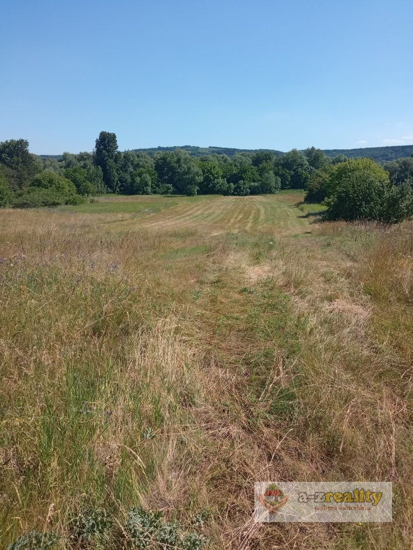 Predávame na predaj veľký pozemok v Radvani nad Dunajom