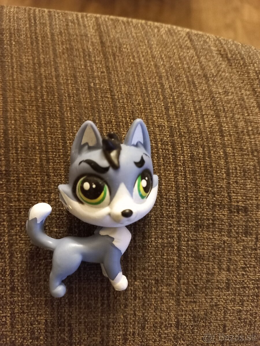 LPS-psík husky