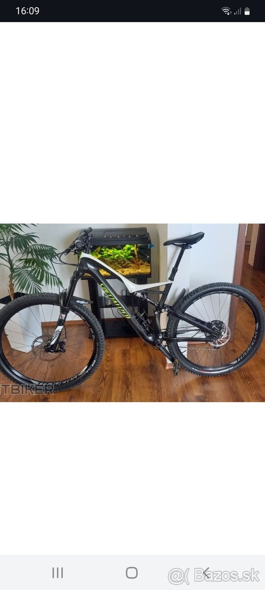 Specialized stumpjumper