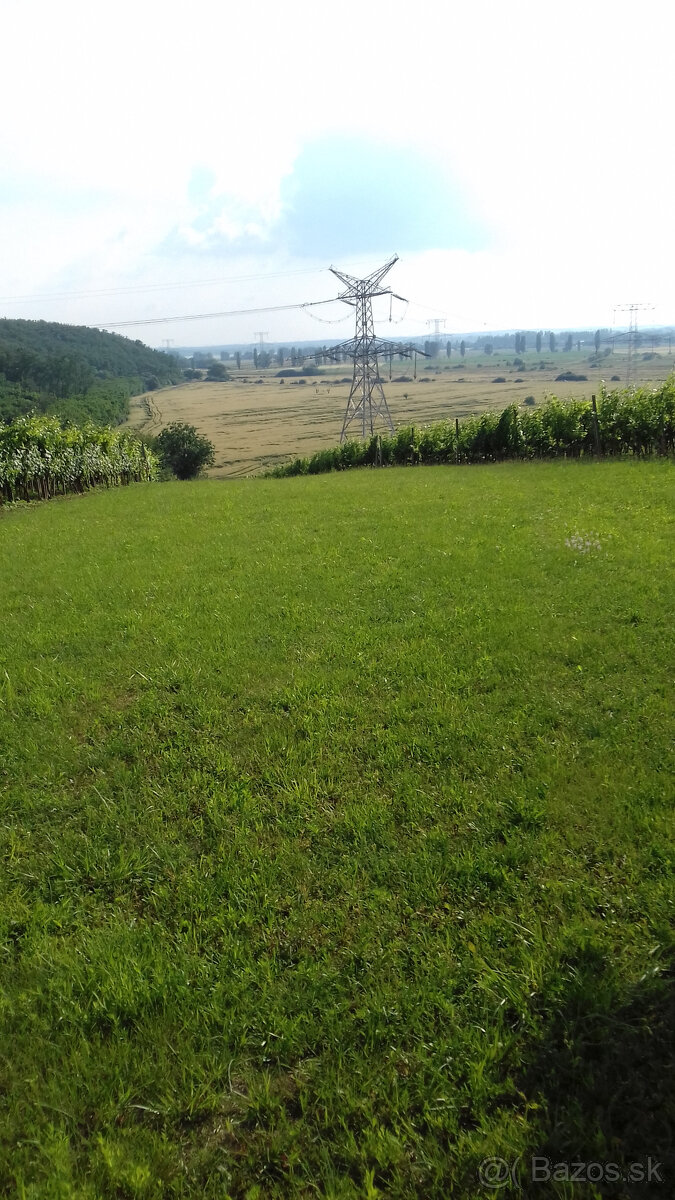 Pozemok na stavbu chaty v Podlužanoch, pivnica,veľký trávnik