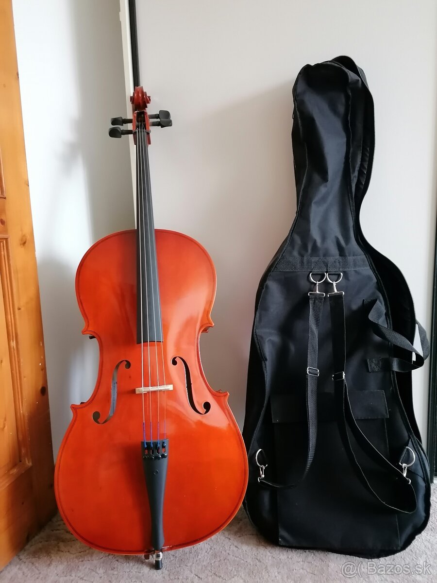 violoncelo