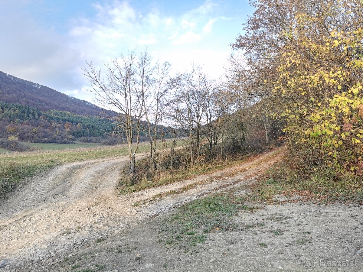 Rekreačný pozemok v Košeckom Podhradí, 727 m2