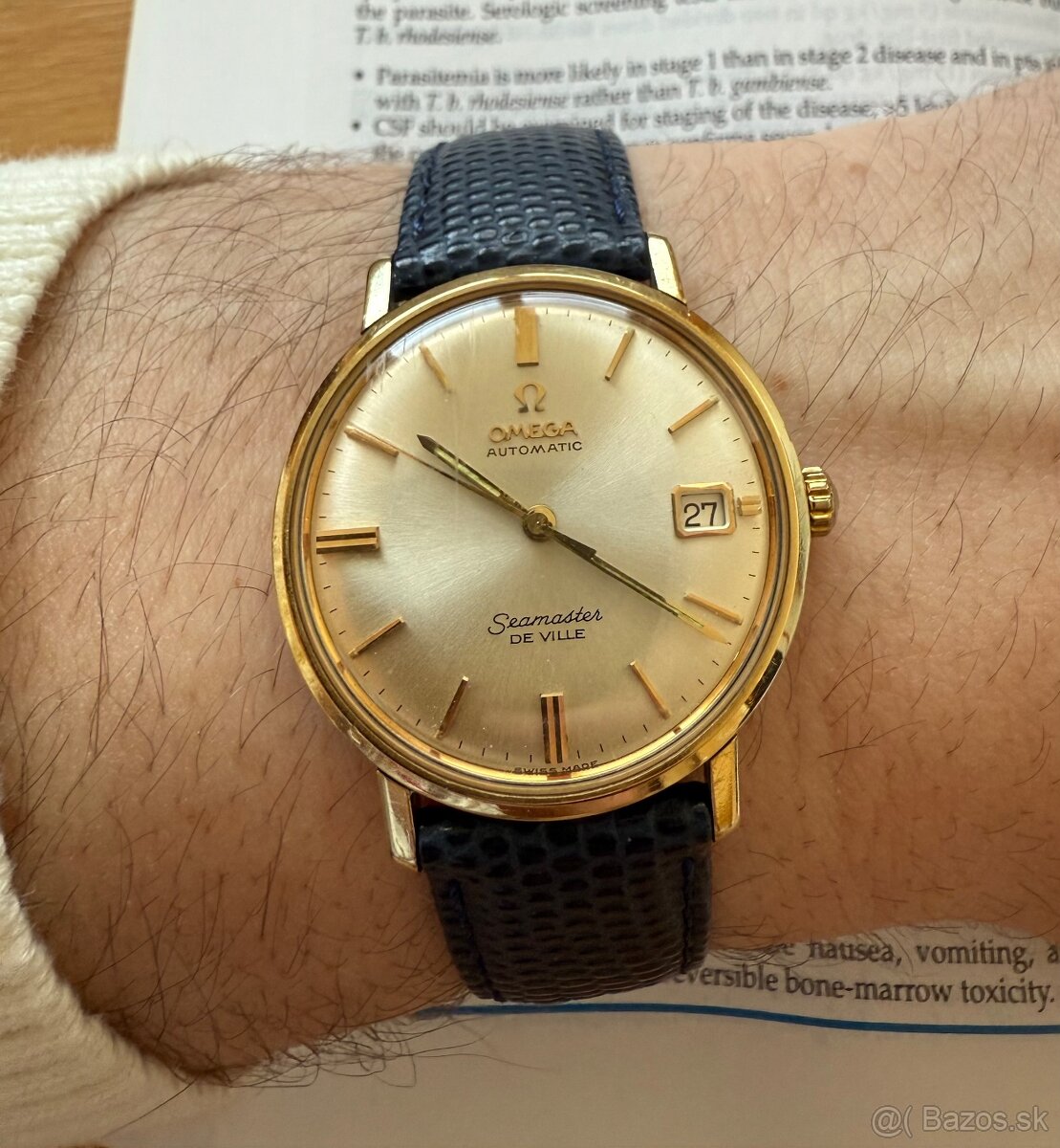 Omega Seamaster