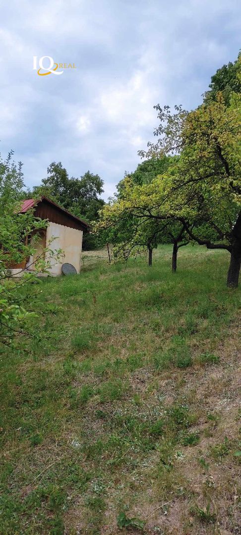 Veľkorysý pozemok plný ovocia a kvetov-Sabinov