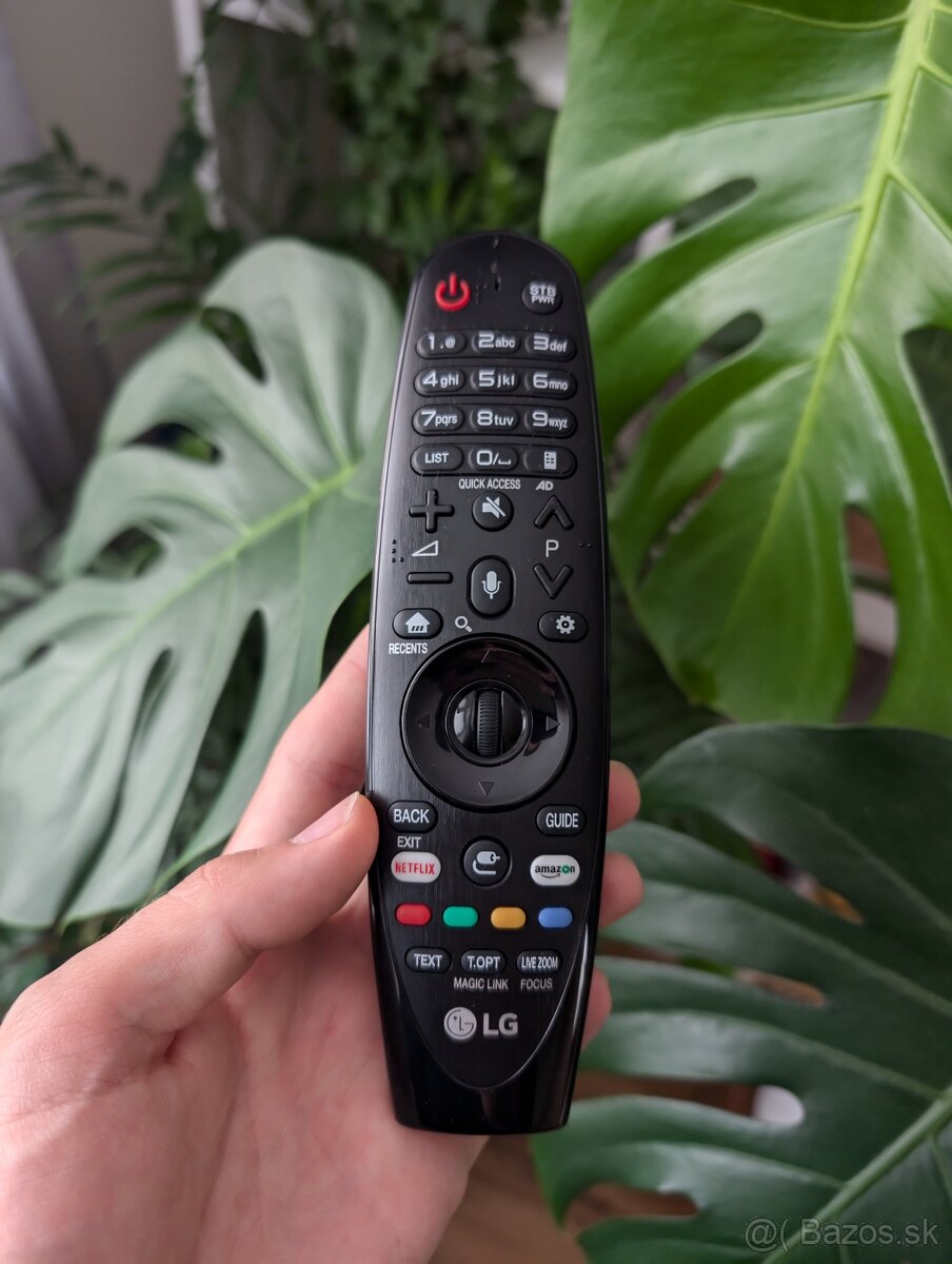 LG Magic Remote