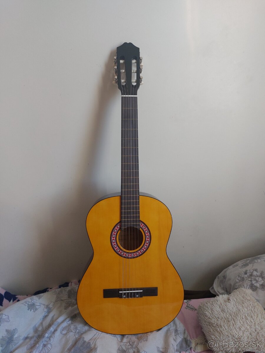 Nová gitara s puzdrom