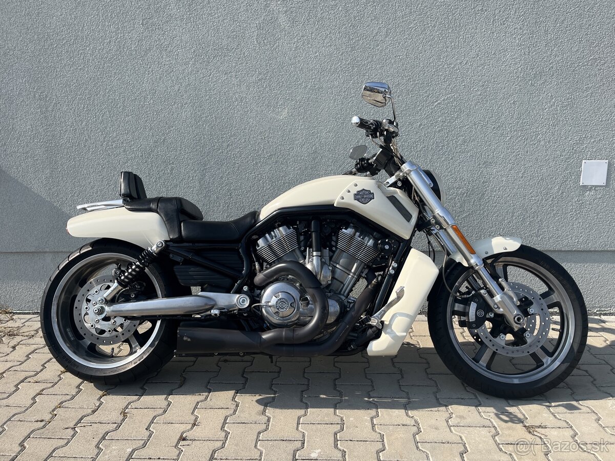 HARLEY DAVIDSON VROD MUSCLE VRSCF EU