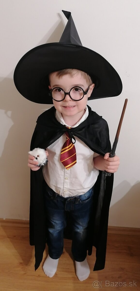 Kostým Harry Potter