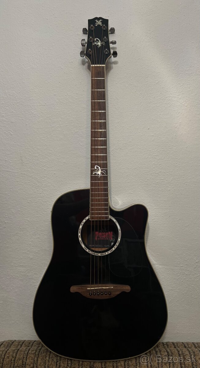 SX elektroakustická gitara