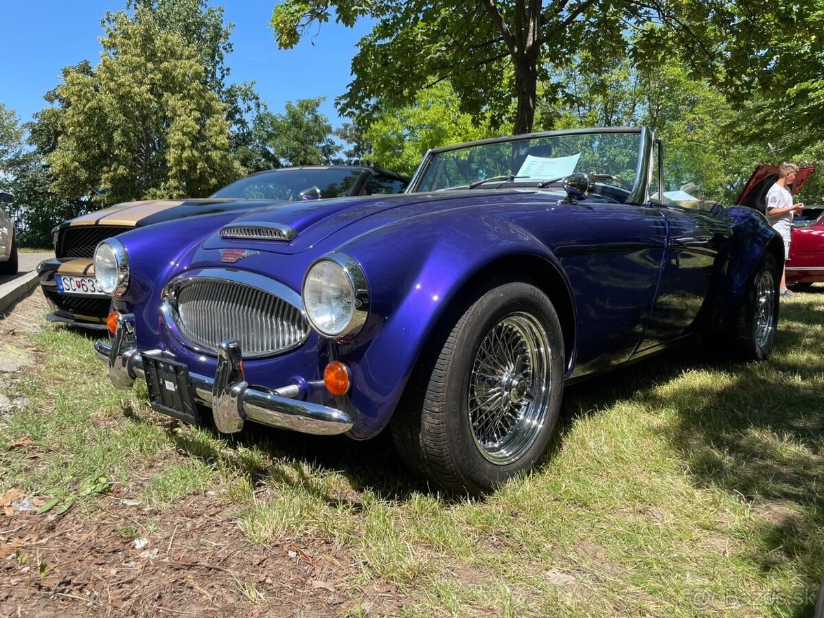 Austin Healey DOHODA / VYMENA