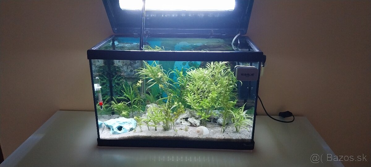 Akvarium aquatlantis