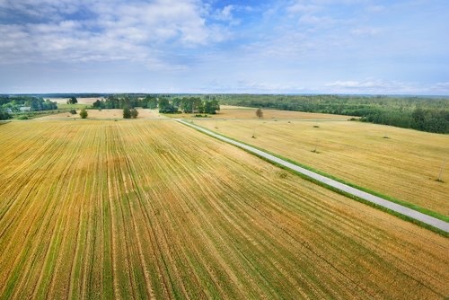 Orná pôda na predaj Vlčany a Neded