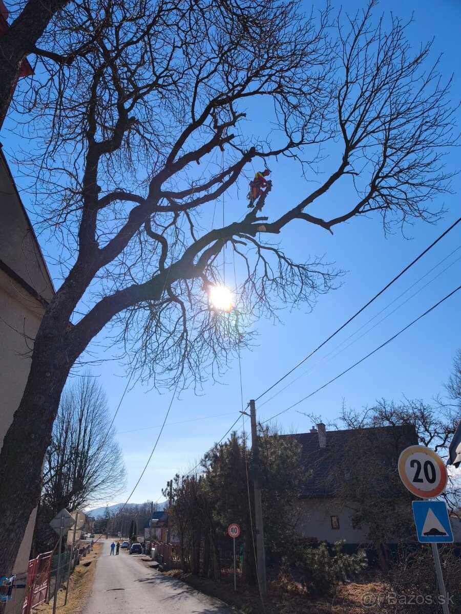 Orez a výrub stromov, výškové práce, údržba pozemkov