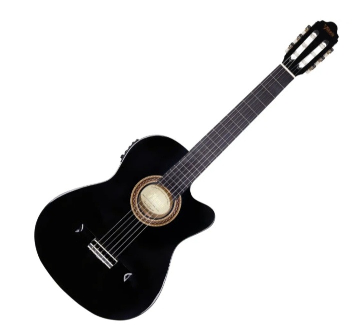 Elektro akustická gitara