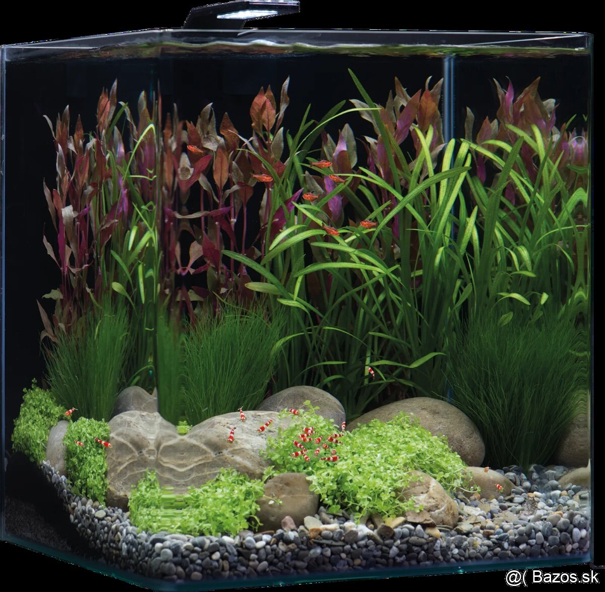 Kompletný set Aquarium Dennerle 60l basic style