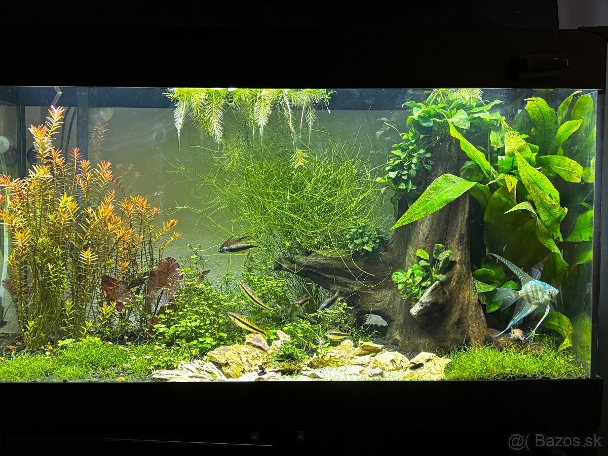 Akvarium 112l