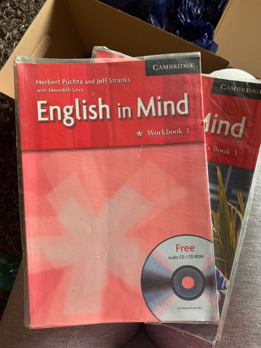 English in Mind 1