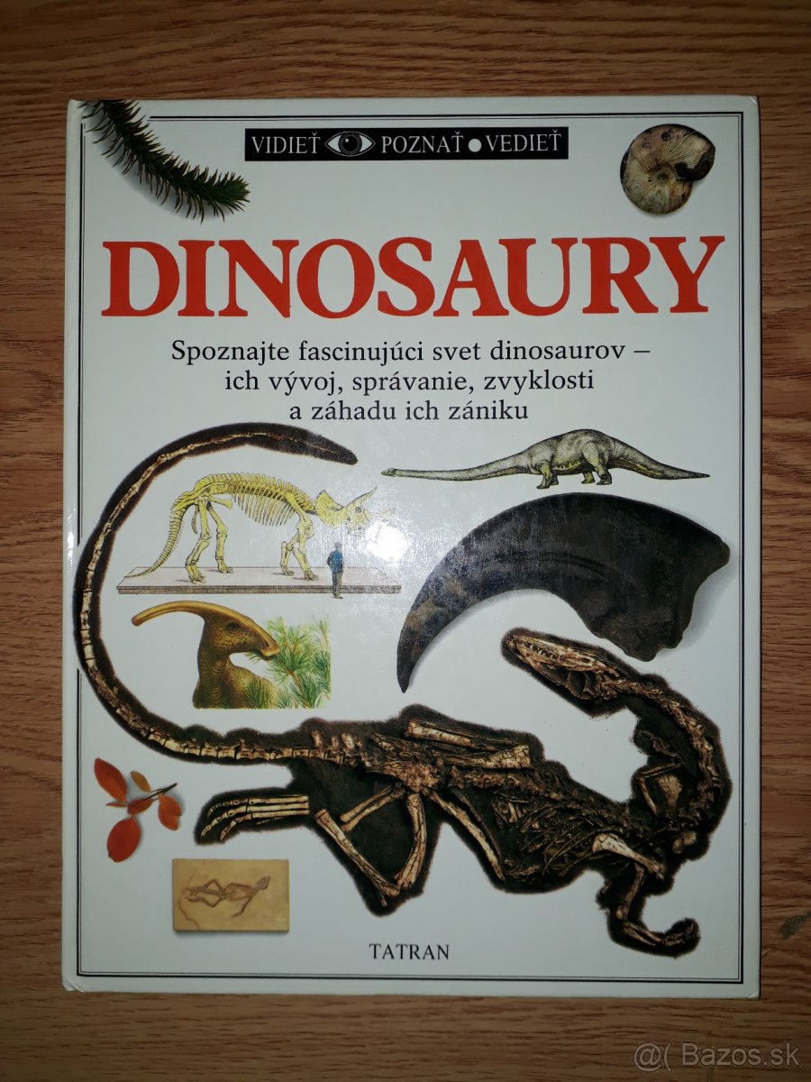 Dinosaury