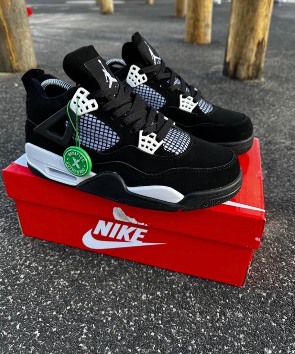 Nike SB Air Jordan Retro 4