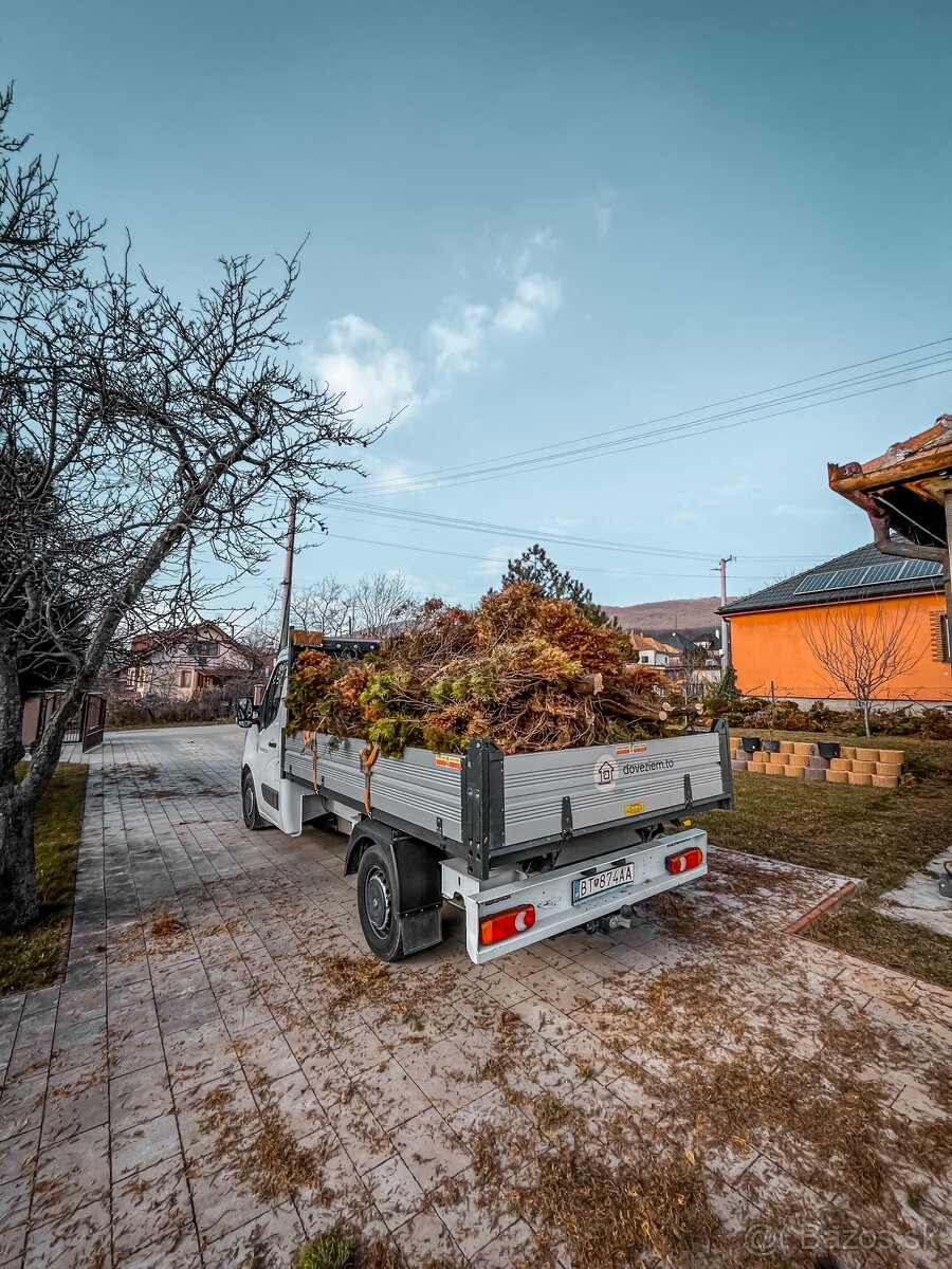 Ponúkam odvoz konárov a haluzí z dvorov a záhrad