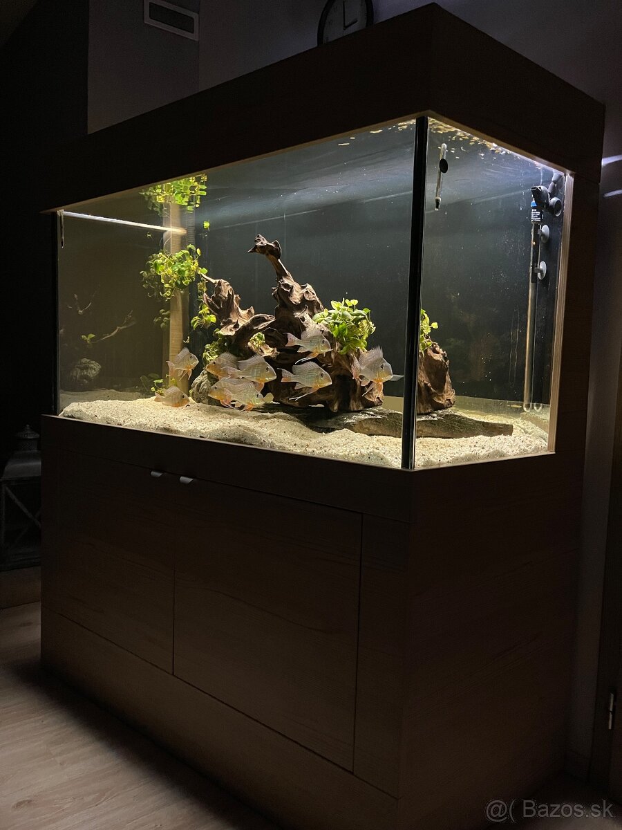 Akvarium 430l