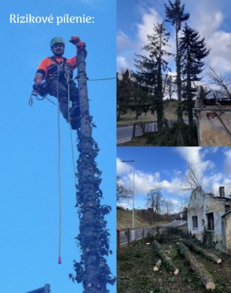 Výrub stromov, rizikové pílenie, štiepkovanie