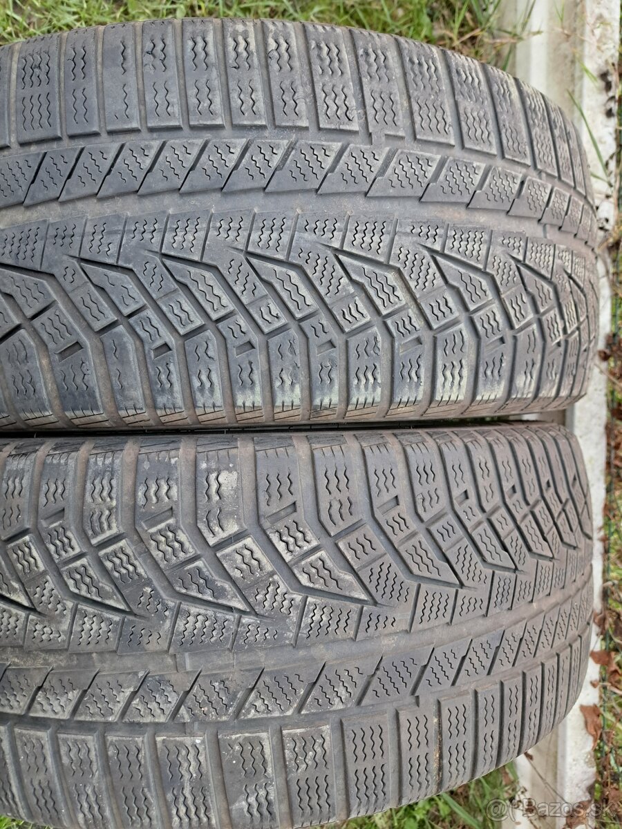 245/45 R19 zimne