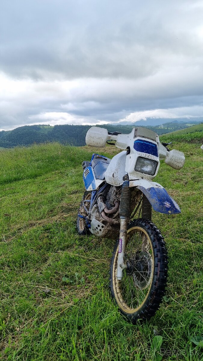 Suzuki DR 600